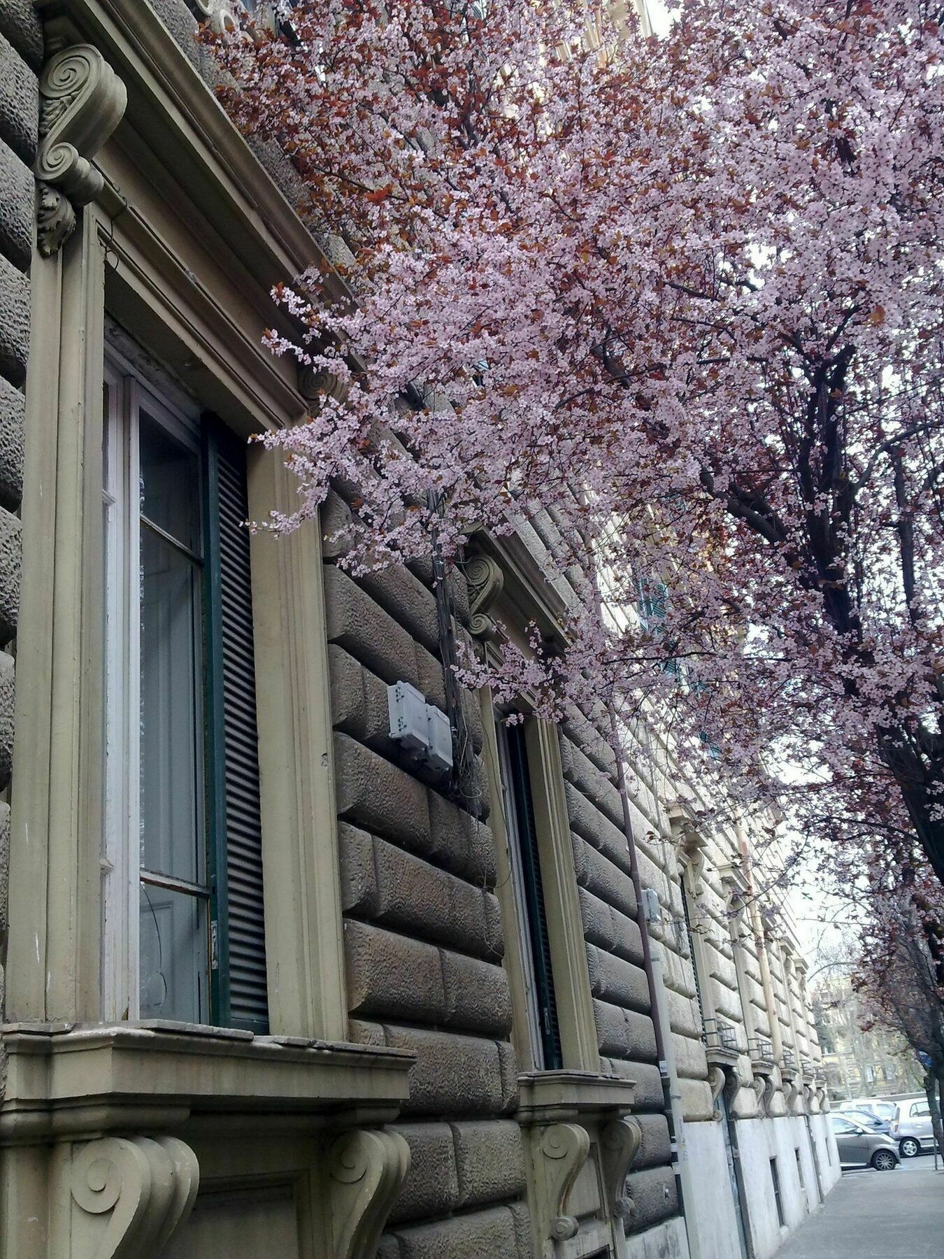 Casa Gigli - Arts Lodge Rome Exterior photo